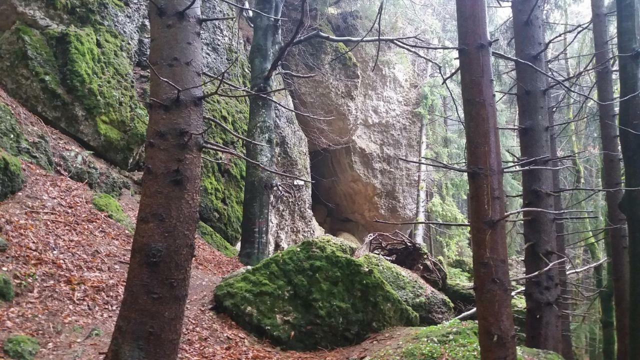Ferienwohnung Alpenfreude ミッセン・ヴィルハムス エクステリア 写真