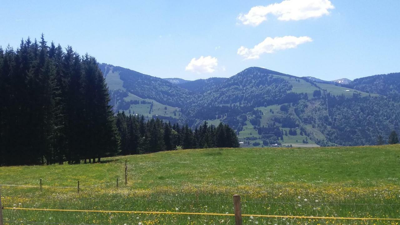 Ferienwohnung Alpenfreude ミッセン・ヴィルハムス エクステリア 写真