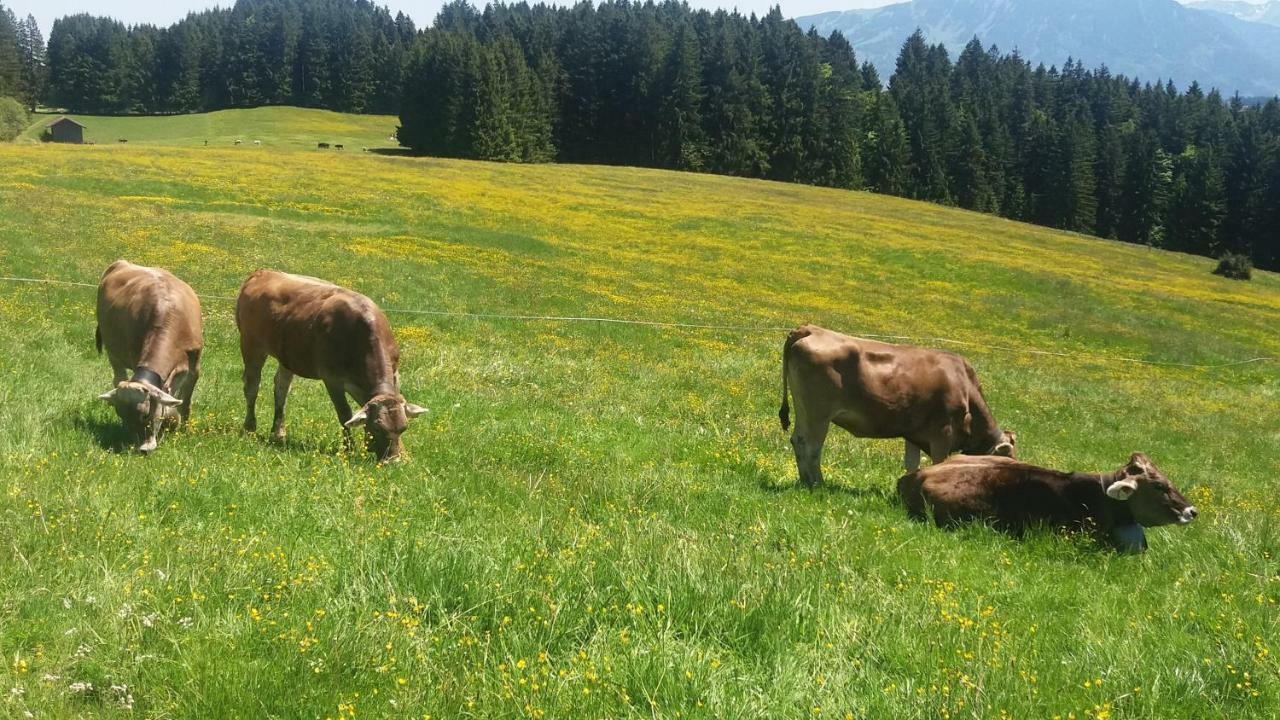 Ferienwohnung Alpenfreude ミッセン・ヴィルハムス エクステリア 写真